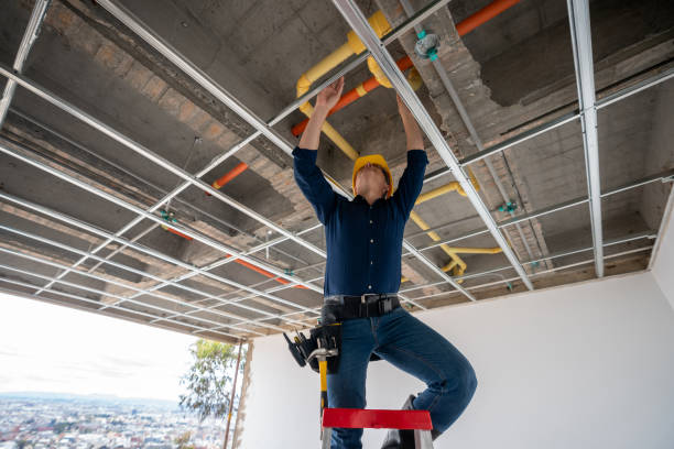 Best Plumbing Services Near Me  in Harbor Springs, MI